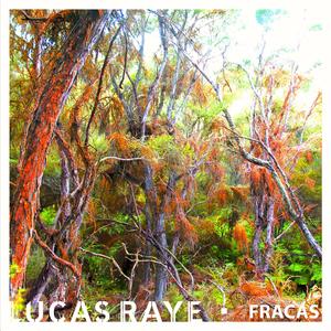 Fracas