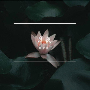 一百万个可能（翻自 柒一翁）