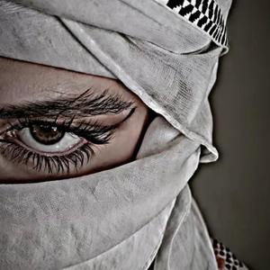 ZAGROS (apoye serokê me)