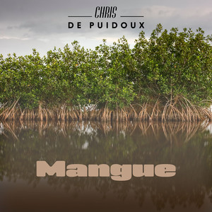 Mangue
