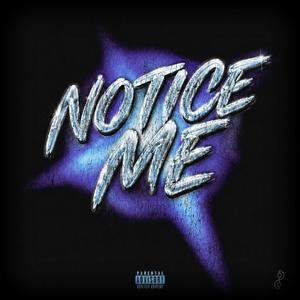 Notice Me