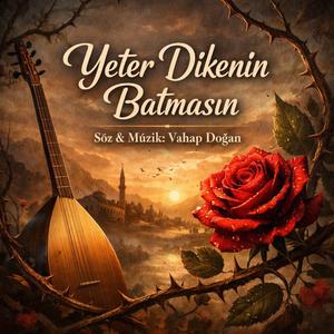Yeter Dikenin Batmasın