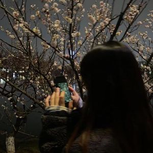 Don wanna loss u again