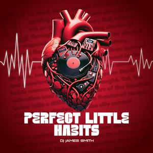 Perfect Little Habits