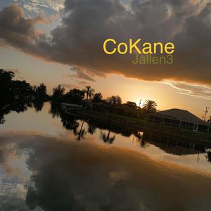 CoKane (Demo)