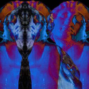 Married With Children（翻自 Oasis）