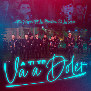 A Ti Te Va Doler (En Vivo)