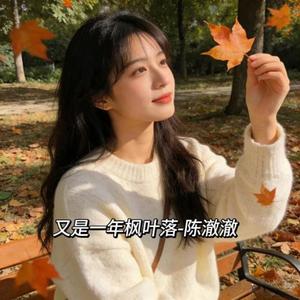 又是一年枫叶落 (DJ默默版)