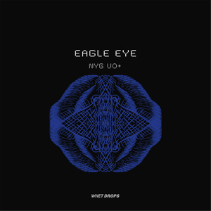 Eagle Eye