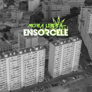 Ensorcelé
