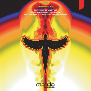 Flyin' Amongst The Stars (Original Mix)