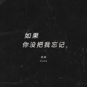 如果你没把我忘记