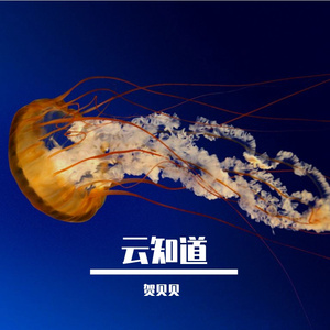 永不失联的爱_