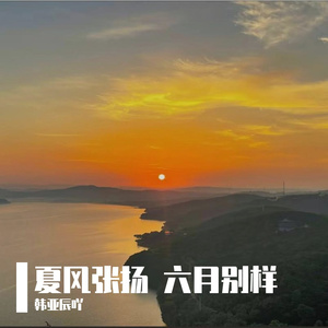 我像风一样作陪