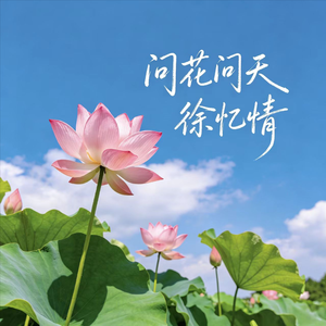 问花问天