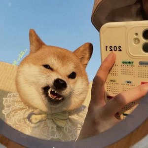 已是两条路上的人（翻自赵雷）