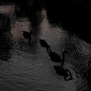 星萤火（KN-Heichai Remix）