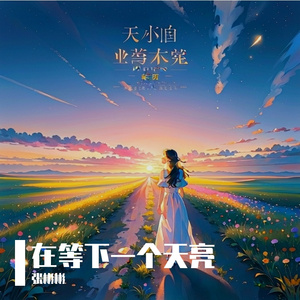 在等下一个天亮