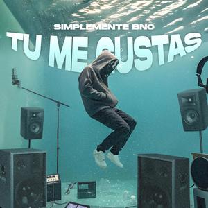 Tu Me Gustas (feat. Bonckley)