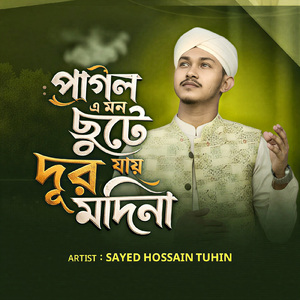 পাগল এ মন ছুটে যায় দূর মদিনায়