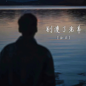 别傻了老弟（压声版）