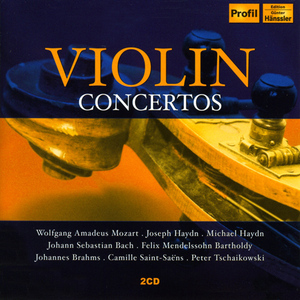 Violin Concerto in G Major, Hob.VIIa:4:II. Adagio