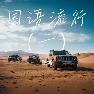 为伴 (Cover 旺达)