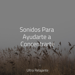 Susurros en La Cama