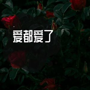 爱都爱了 伴奏