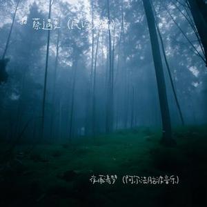 夜雨清梦 (阿尔法脑波音乐)