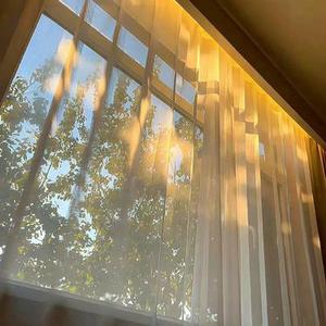 SpringThing (纯音乐版)