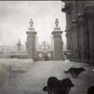 《漫长规划里的幻梦》