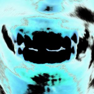 morocho