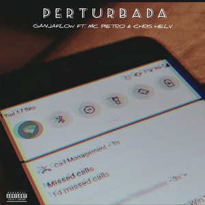 Perturbada
