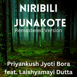 Niribili Junakote (Remastered 2022)