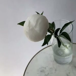 My Living Spring by IoannaFlame💖🔥