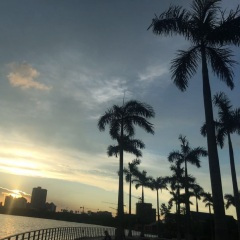 父爱如山母爱如海 (Demo)