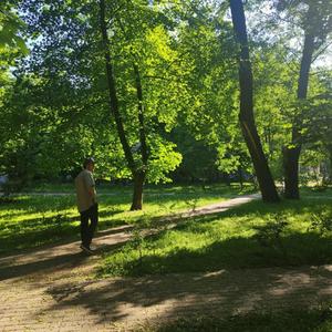 《我不是你的宋冬野》