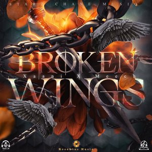 Broken Wings
