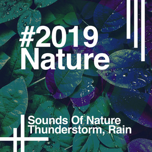 Another Day of Showers