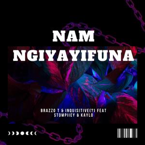 Nam Ngiyayifuna (feat. InQuisitive (?), Stompiiey & Kaylo)