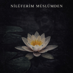 nilüferim müslümden