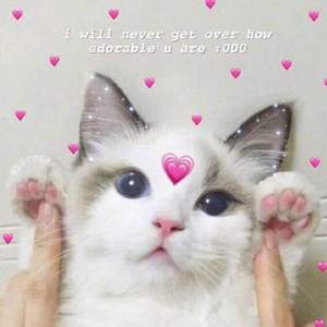 Imagination（翻自 安全着陆）