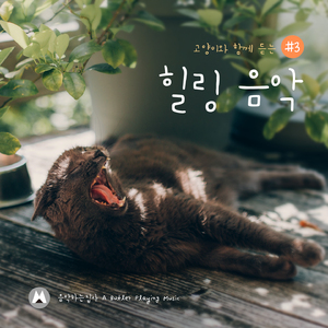 지나가는 사람들을 보며