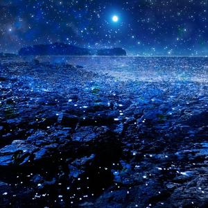 喂狗喂狗-小六神