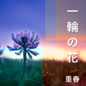 一輪の花～たった一度願いをこめて～