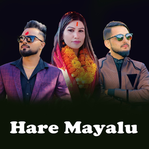 Hare Mayalu