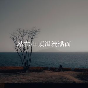 站在山顶泪流满面