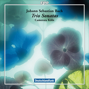 Trio Sonata No. 3 in D Minor, BWV 527 (arr. for chamber ensemble):I. Andante