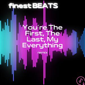 You´re The First, The Last, My Everything (Remix)
